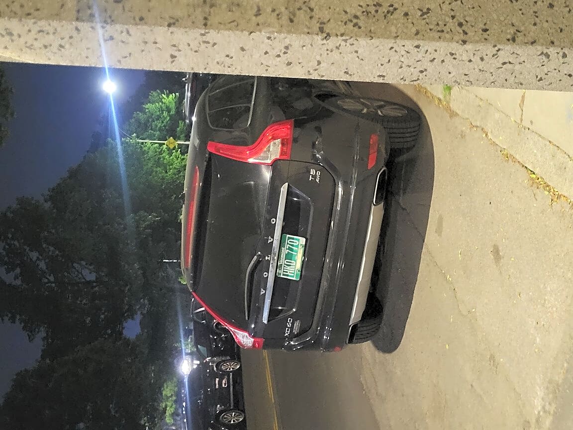 Image submitted with report