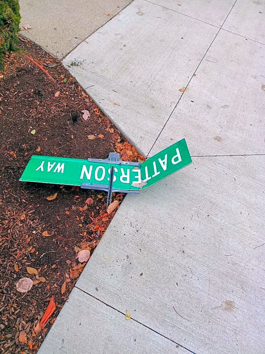 Image submitted with report