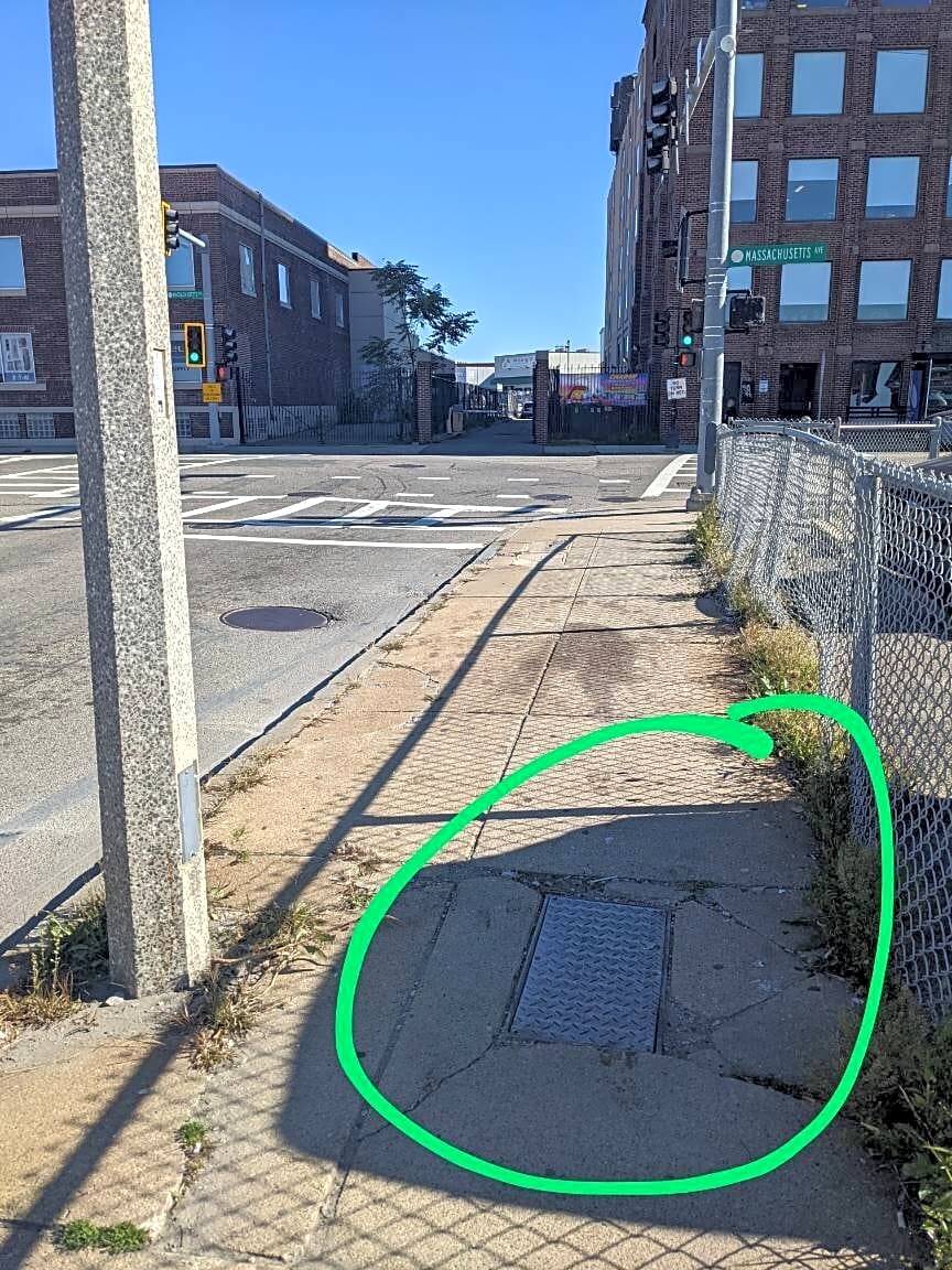 Image submitted with report
