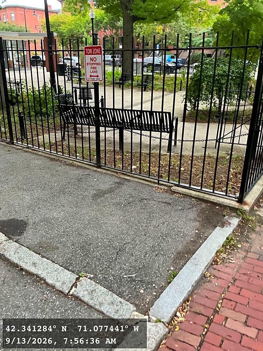 Image submitted with report