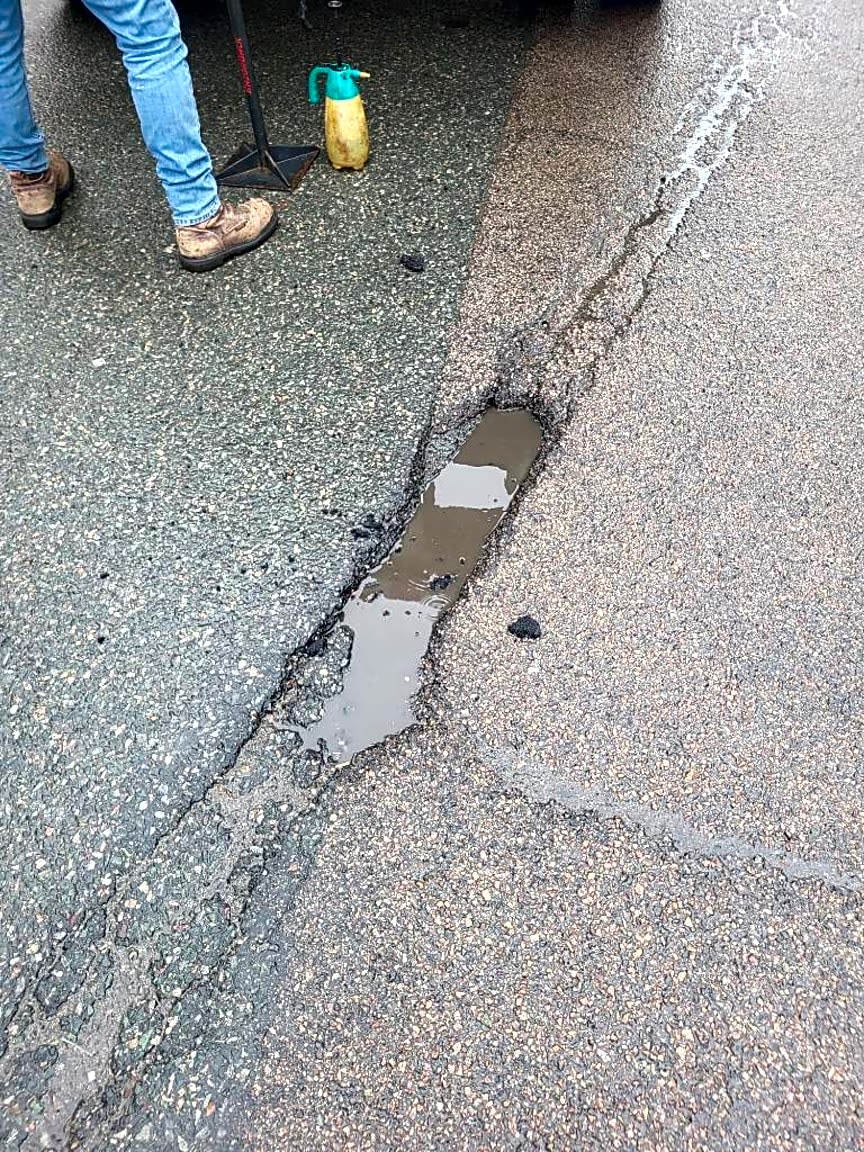 Image submitted with report