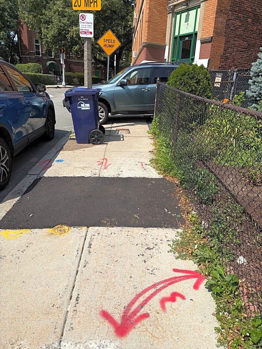 Image submitted with report