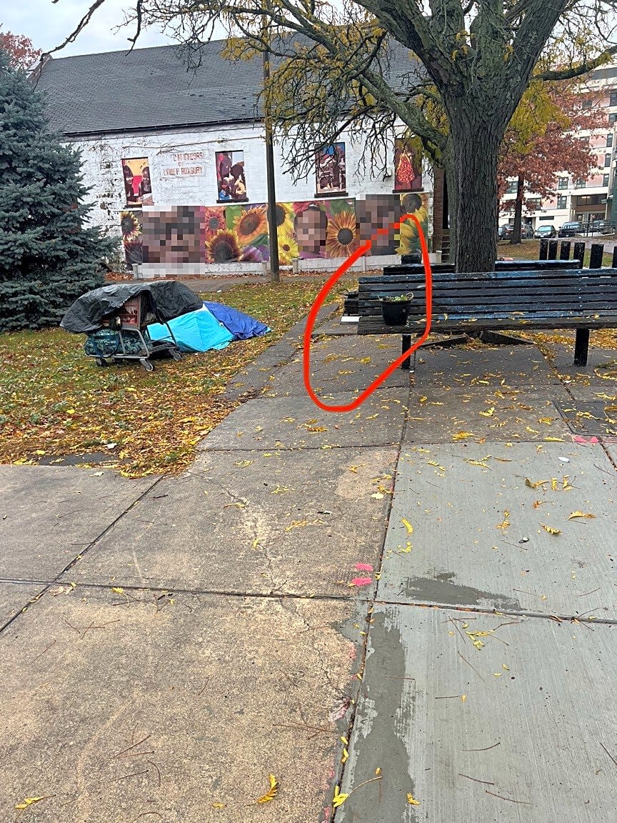 Image submitted with report