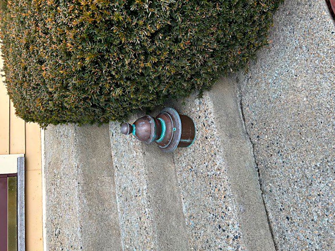 Image submitted with report