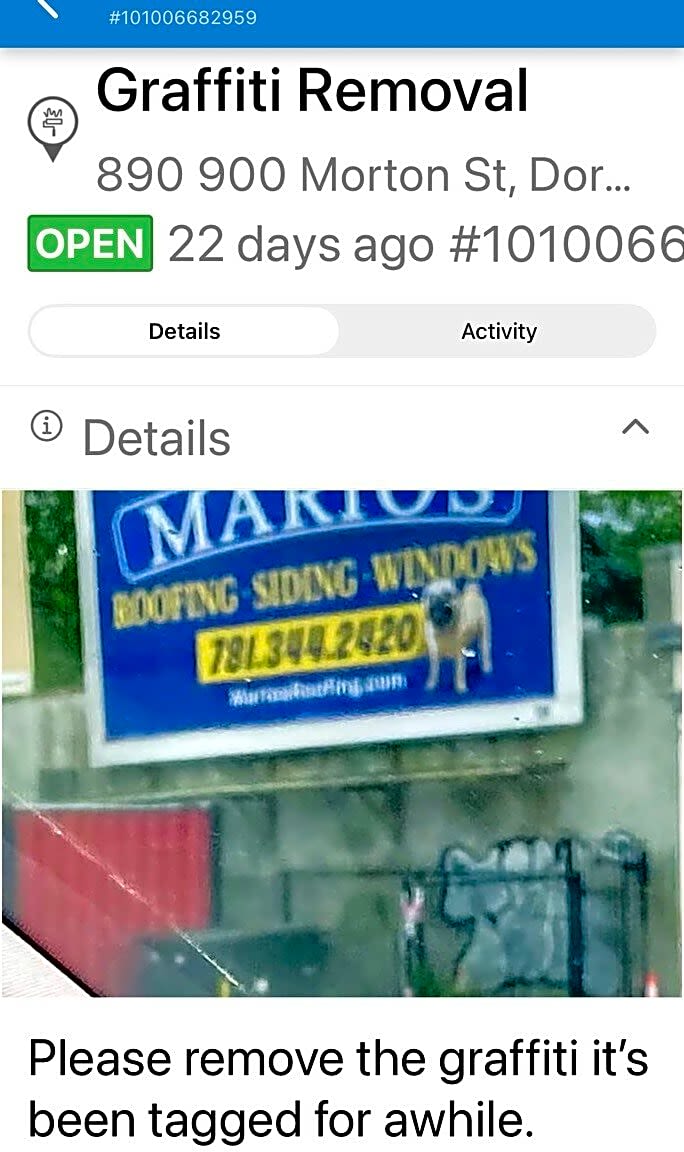 Image submitted with report