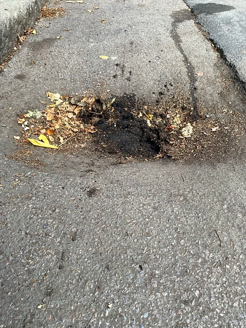 Image submitted with report
