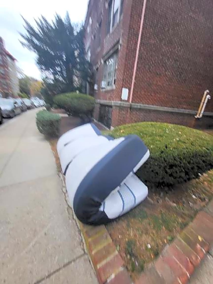 Image submitted with report