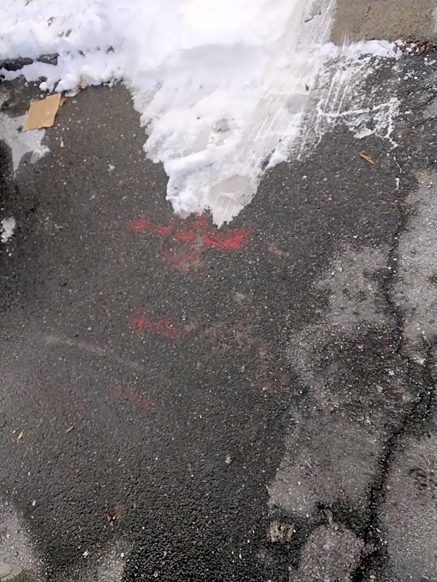 Image submitted with report