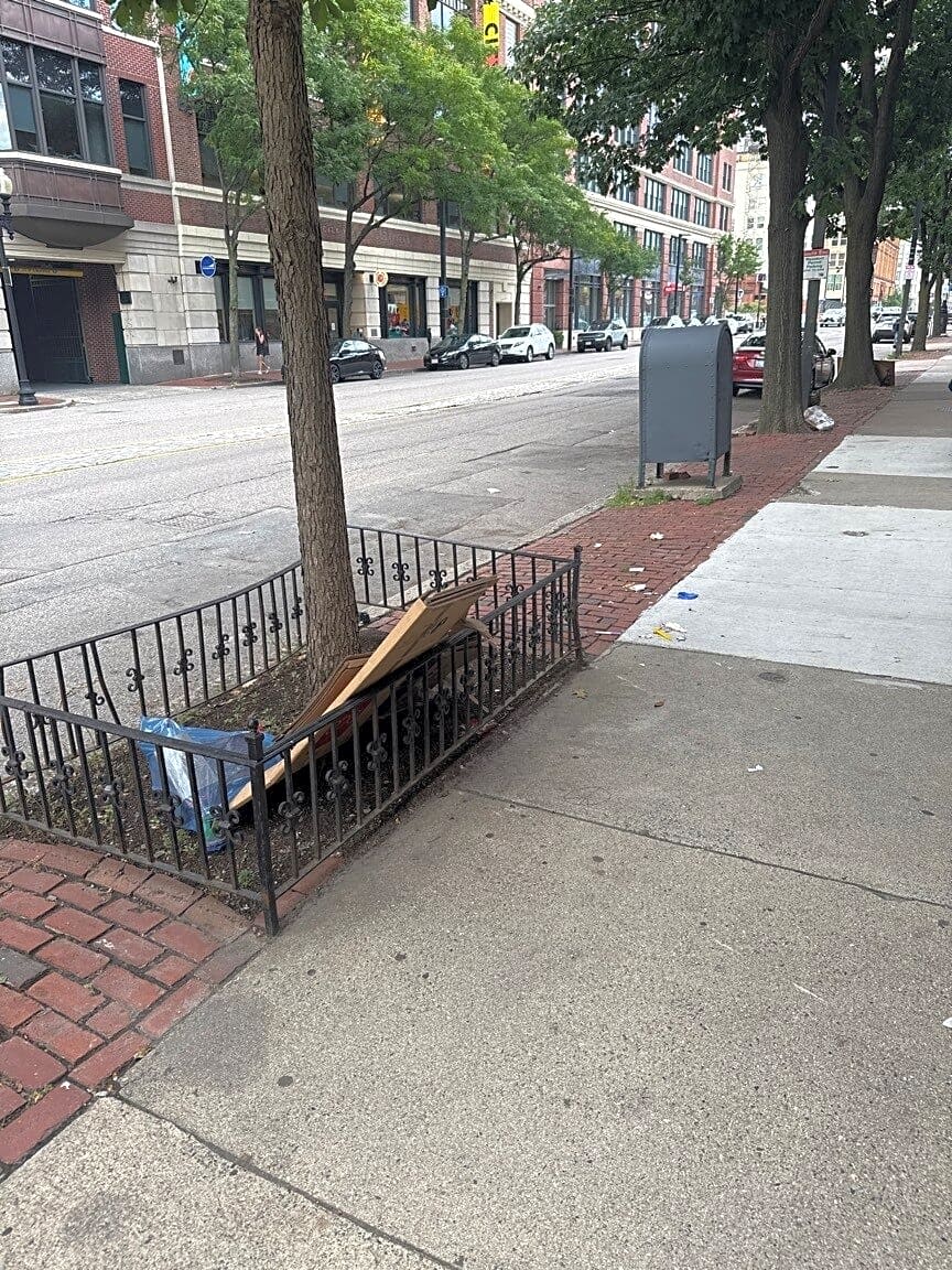 Image submitted with report