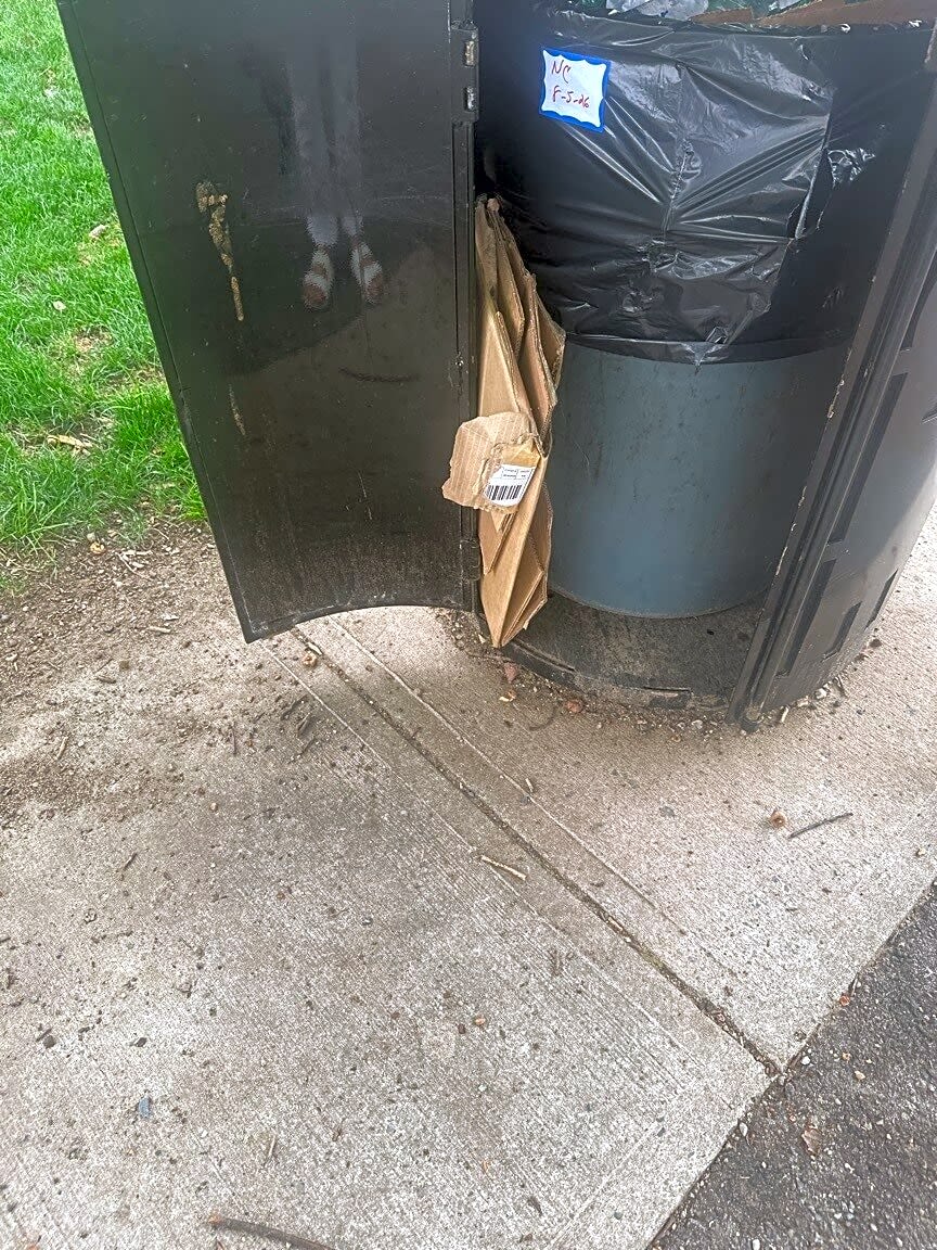 Image submitted with report