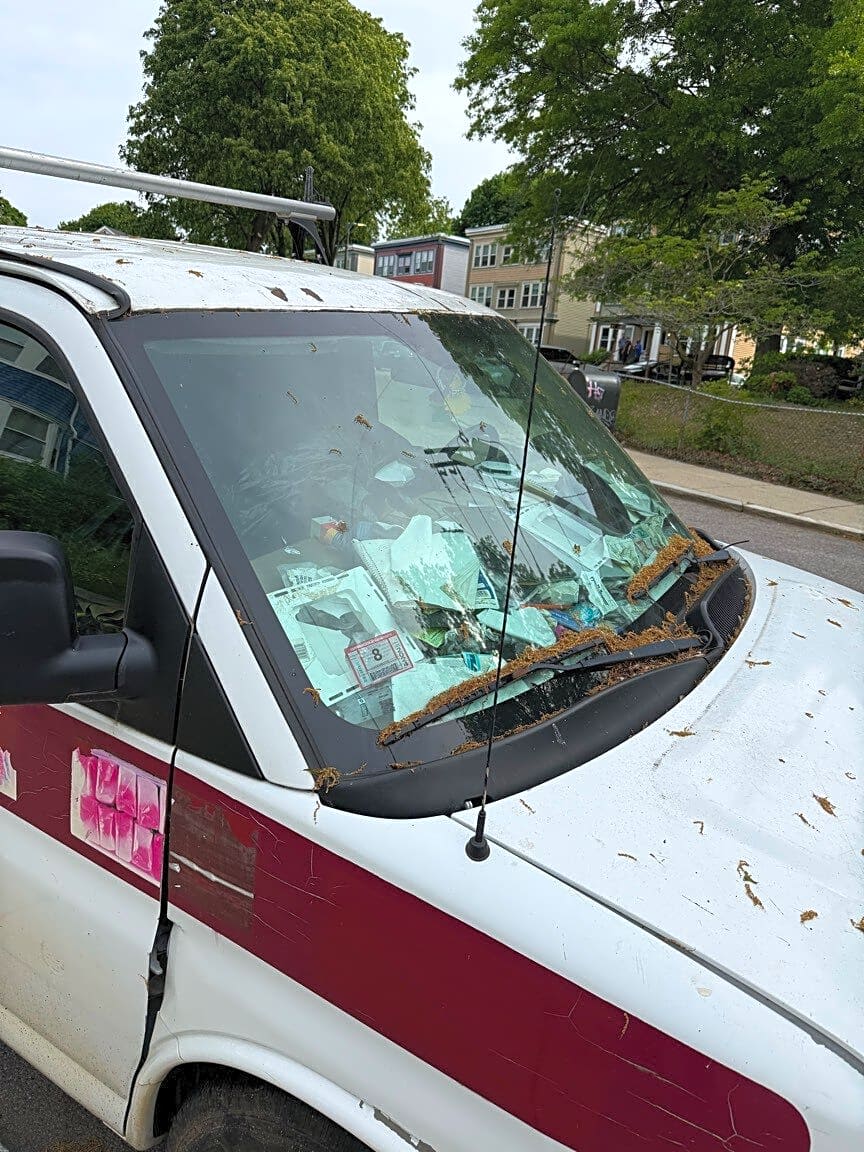 Image submitted with report
