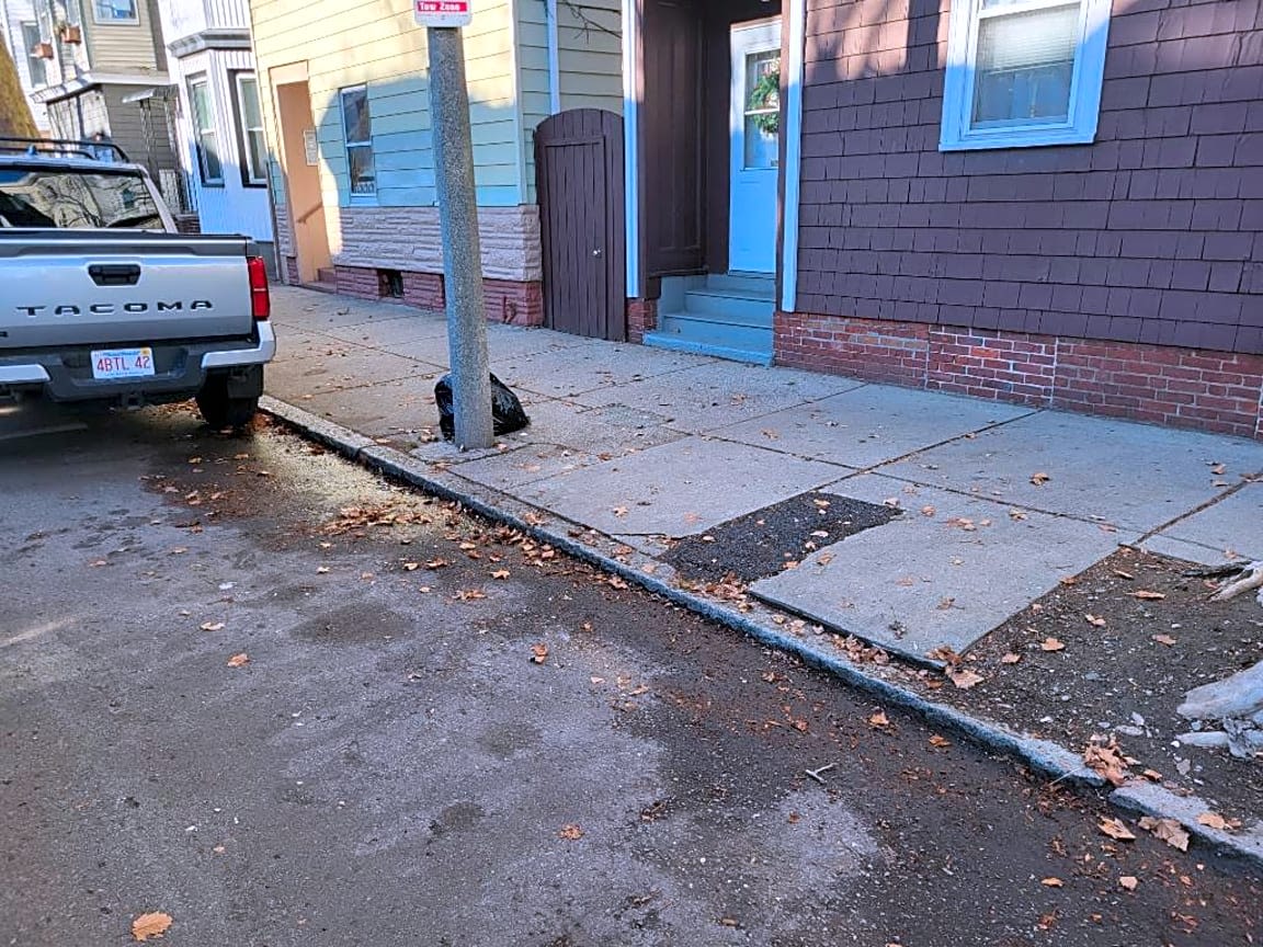 Image submitted with report