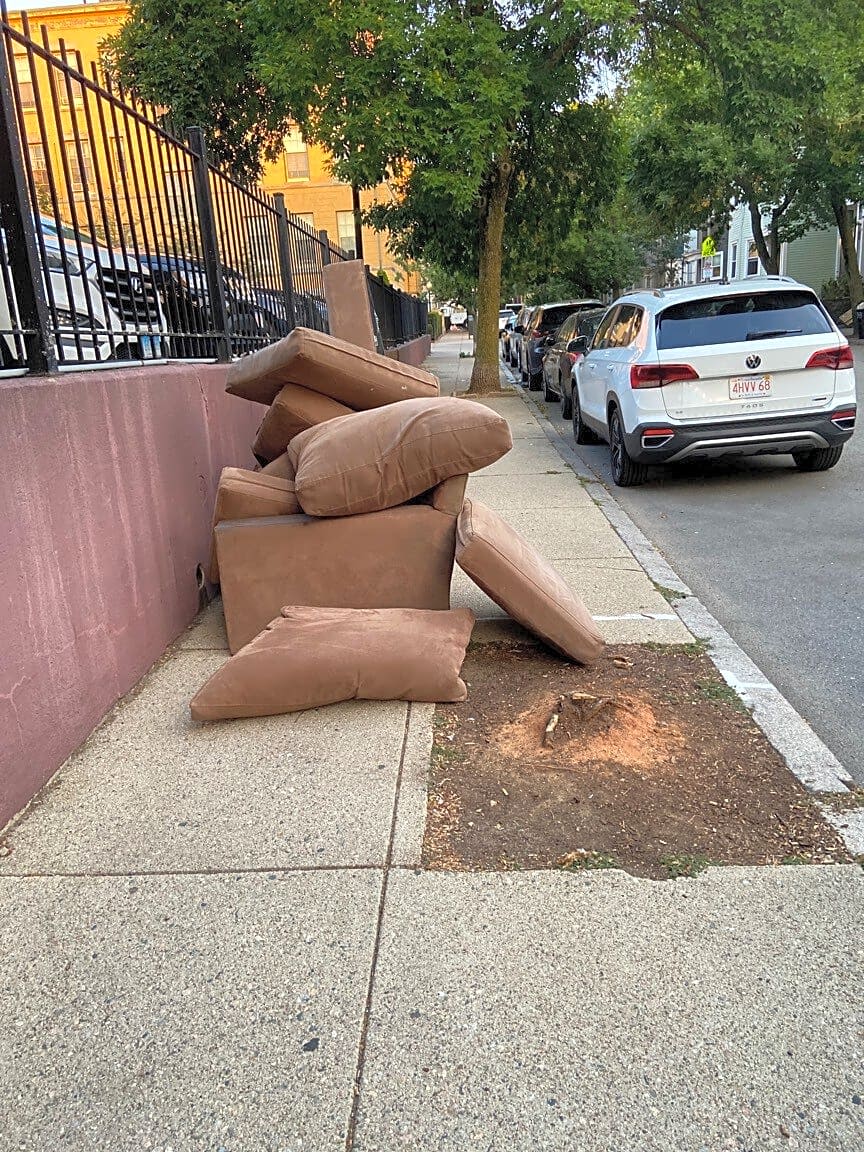 Image submitted with report