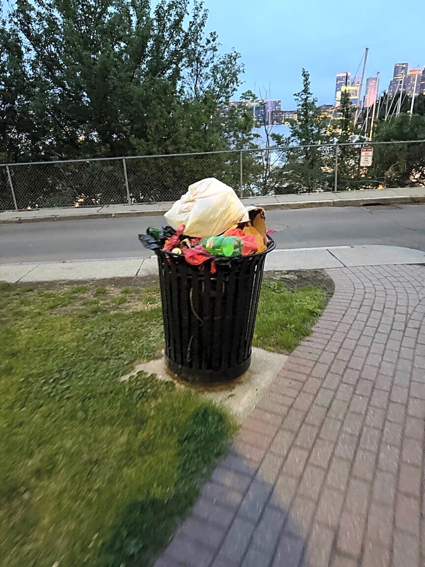 Image submitted with report
