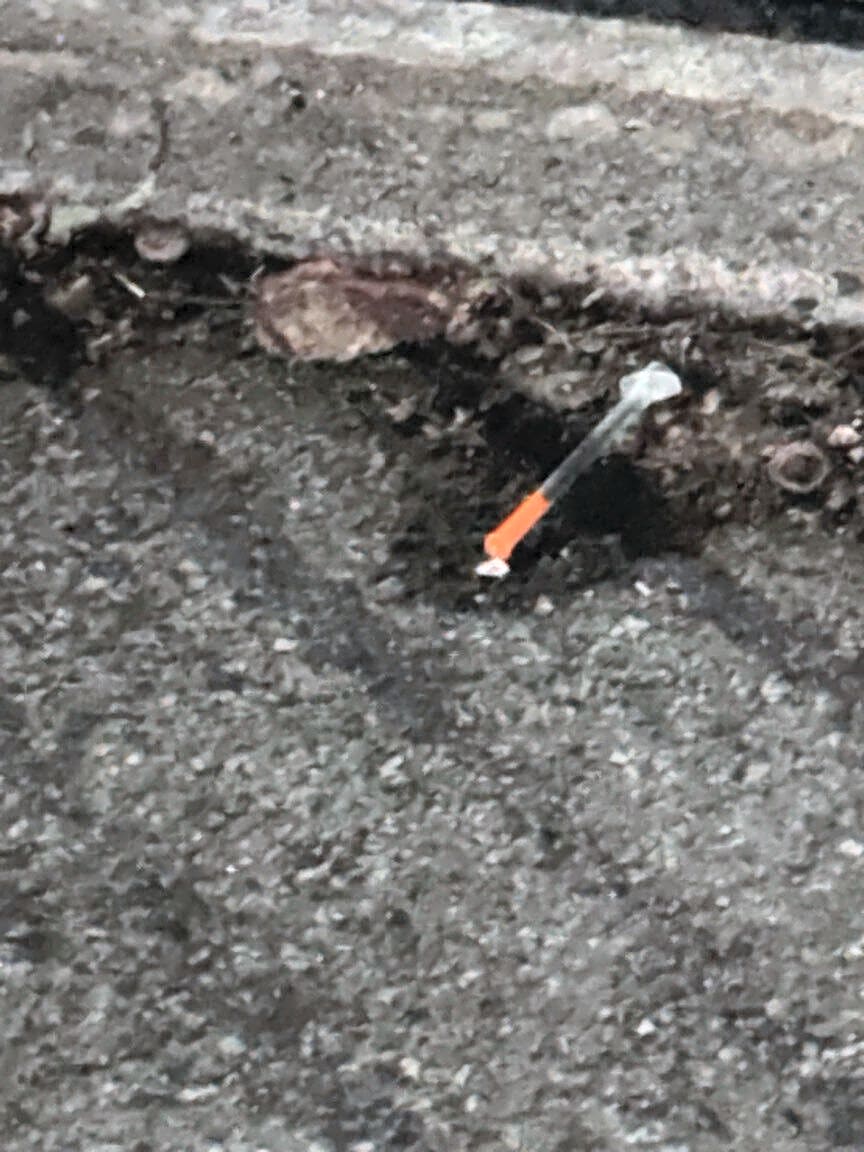 Image submitted with report