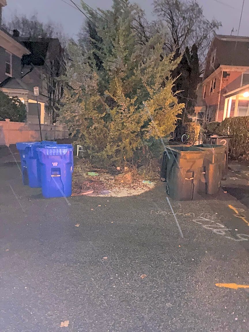 Image submitted with report