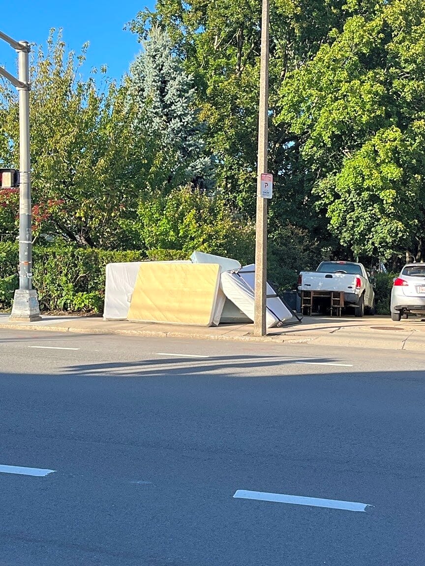 Image submitted with report