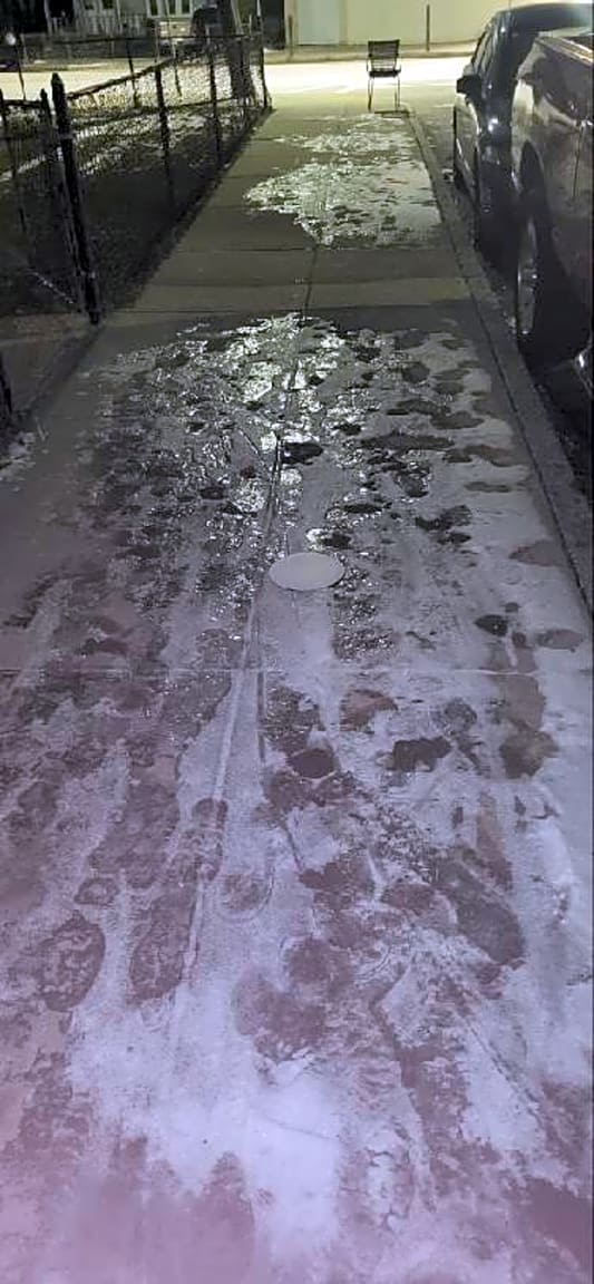 Image submitted with report