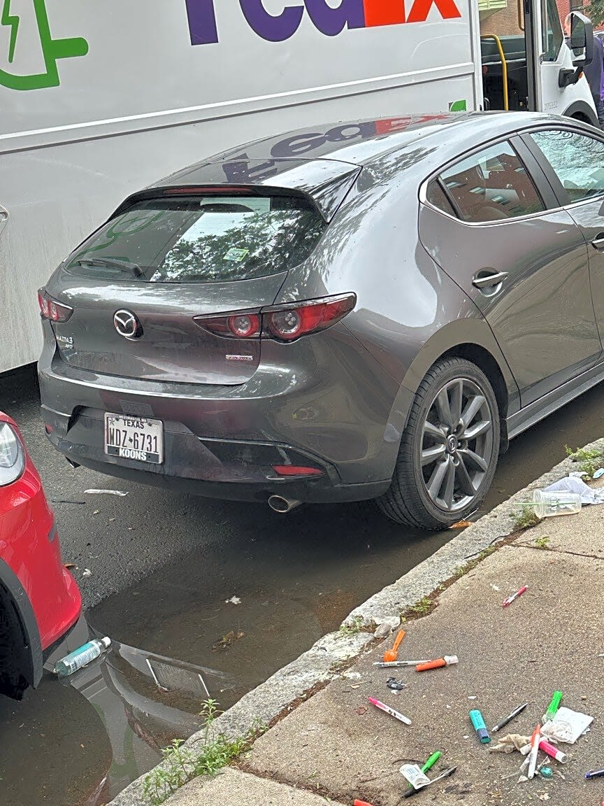 Image submitted with report