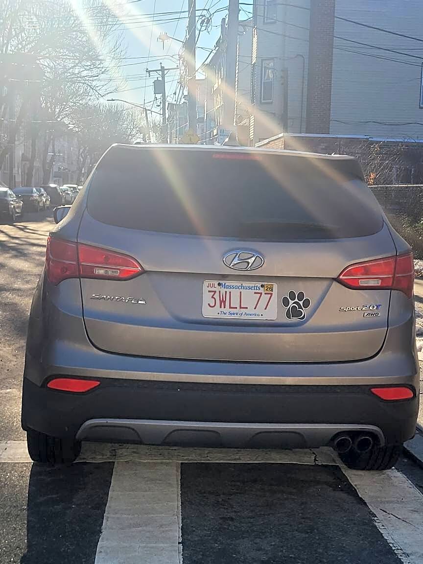 Image submitted with report