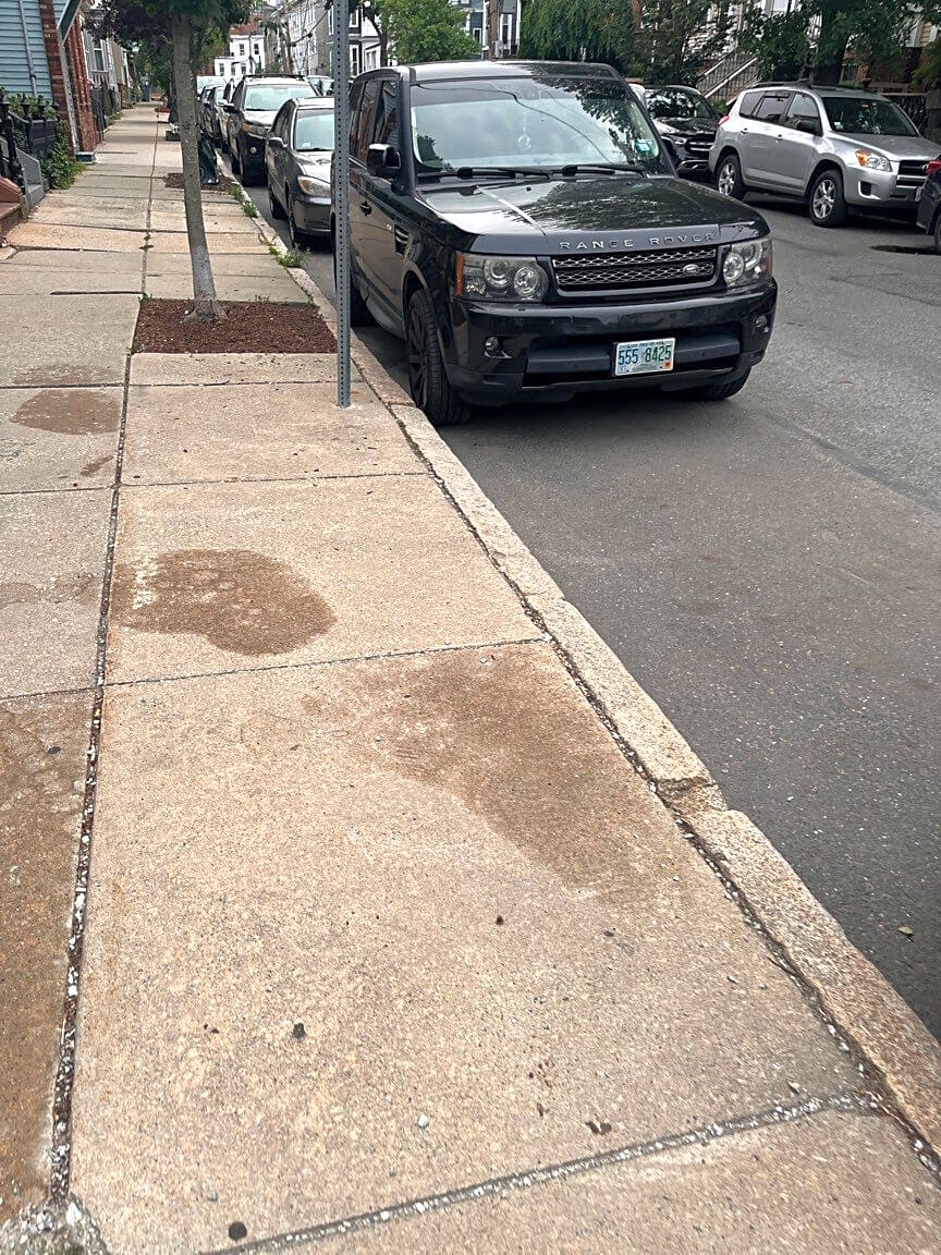 Image submitted with report
