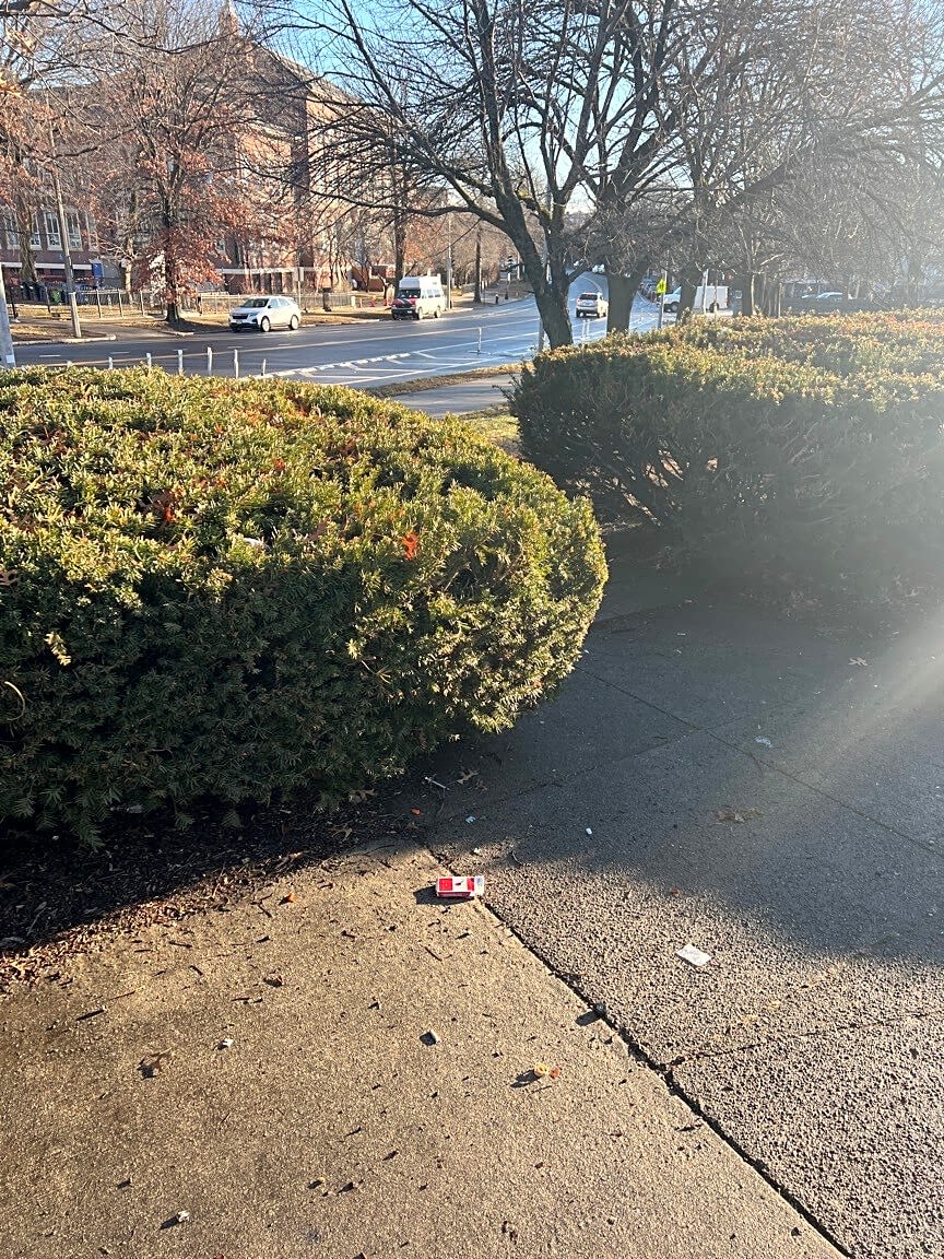 Image submitted with report