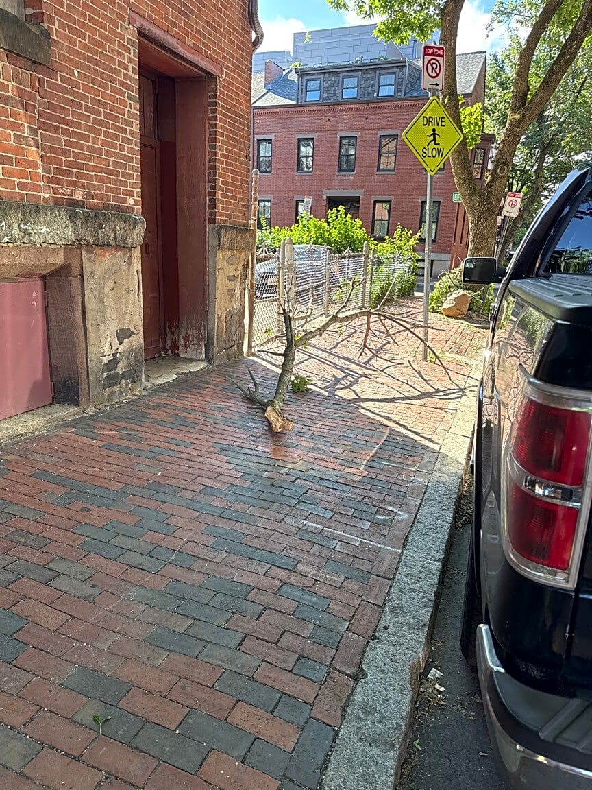 Image submitted with report