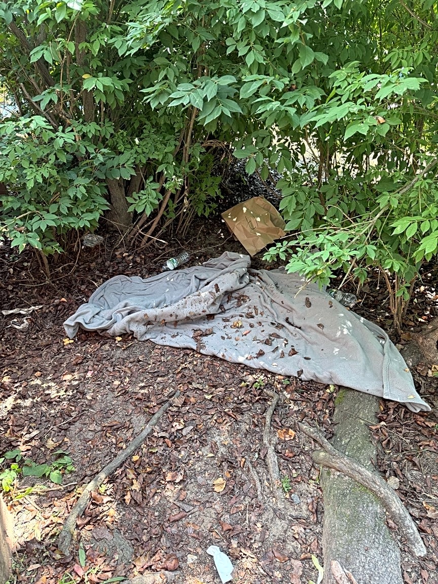 Image submitted with report