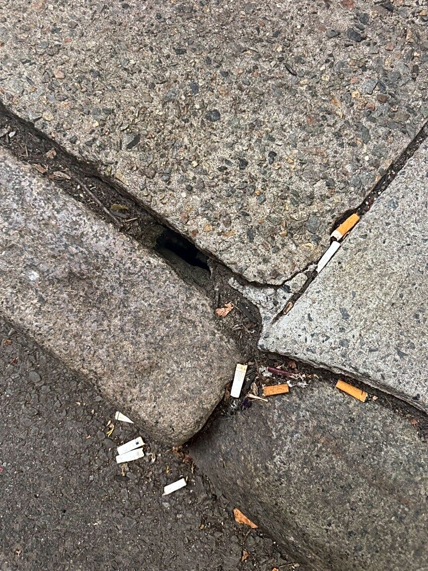 Image submitted with report