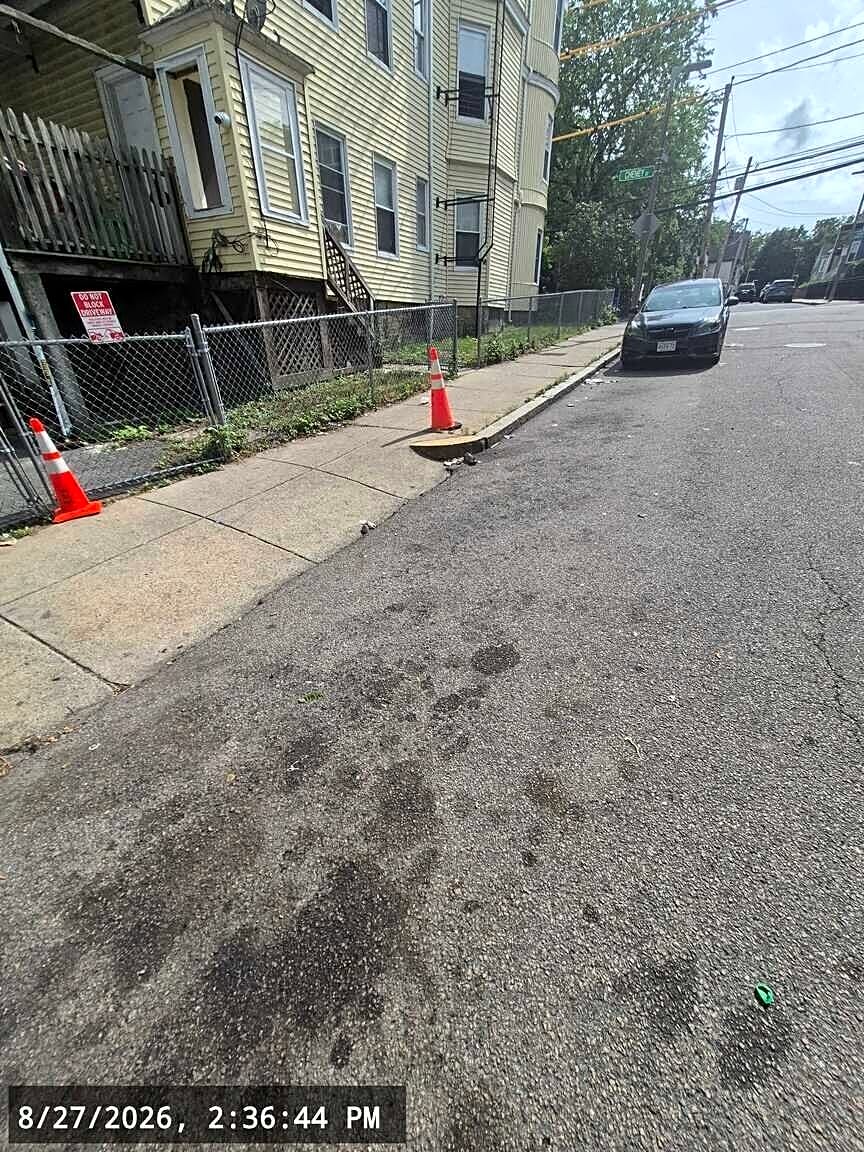Image submitted with report