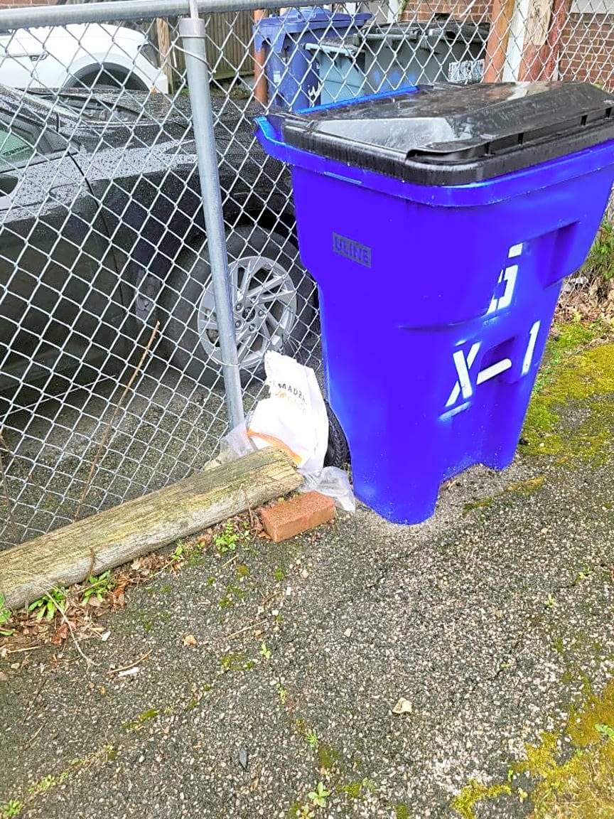 Image submitted with report
