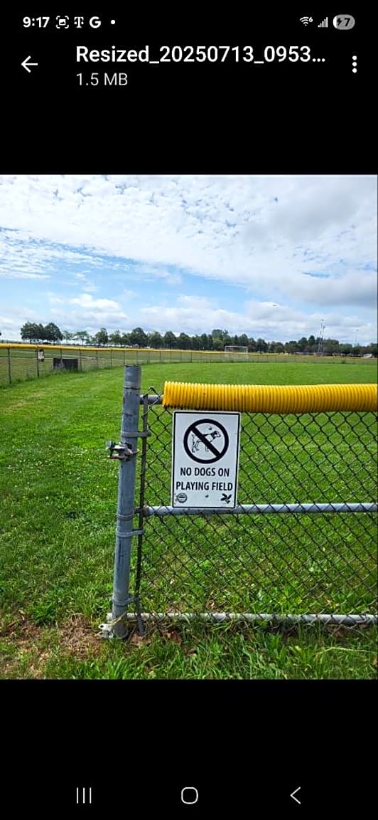 Image submitted with report