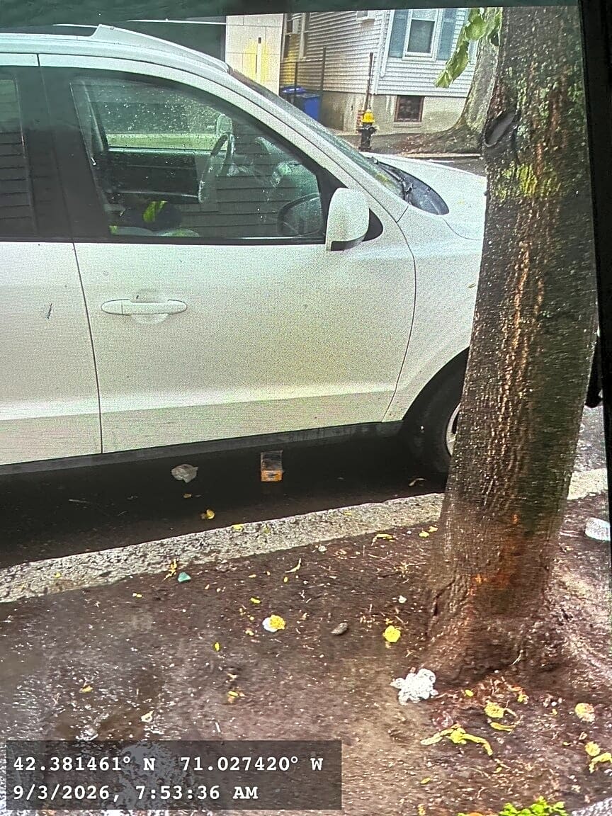 Image submitted with report