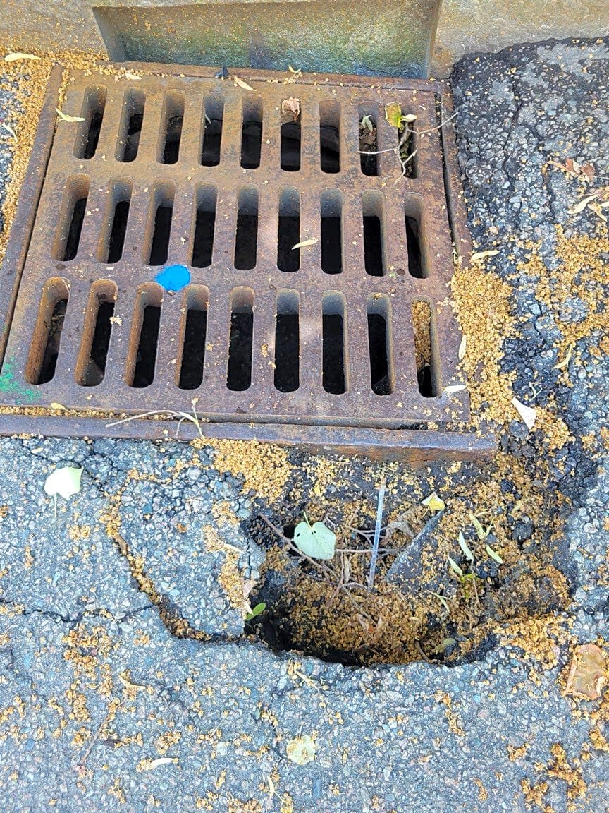 Image submitted with report