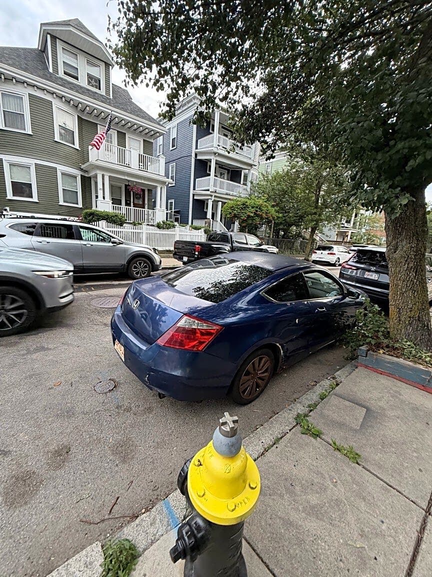 Image submitted with report