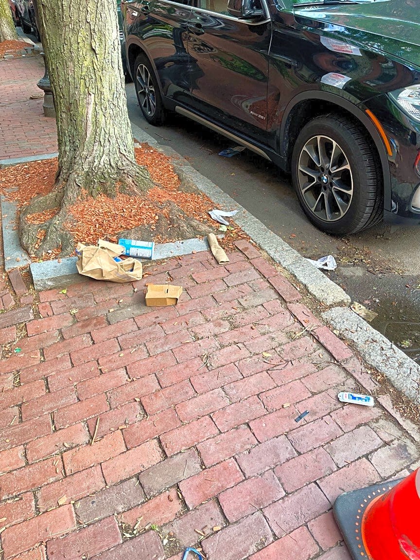 Image submitted with report