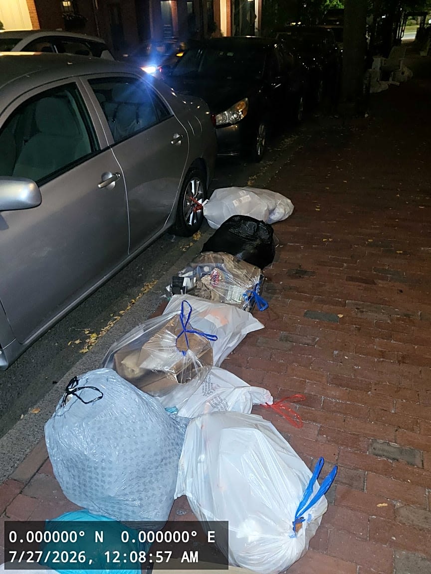Image submitted with report