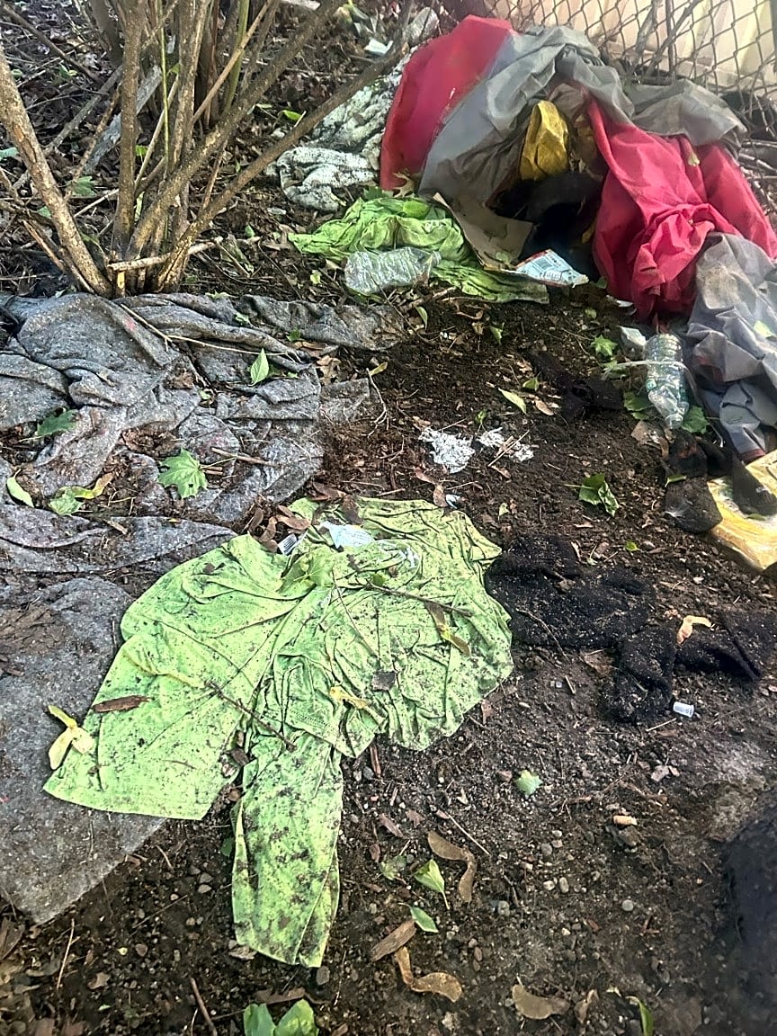 Image submitted with report