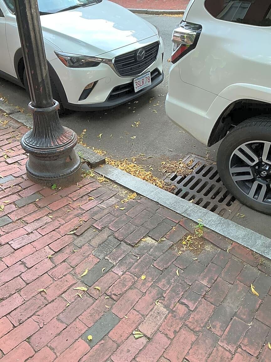 Image submitted with report