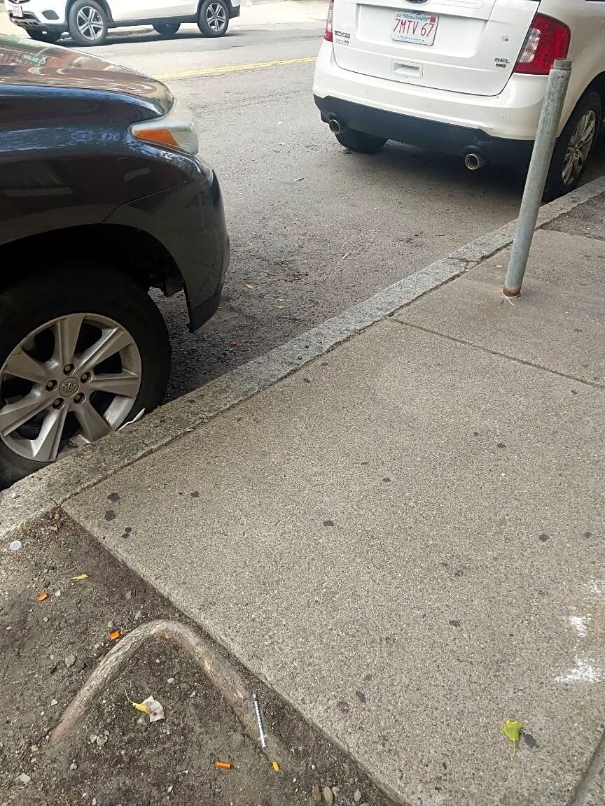 Image submitted with report