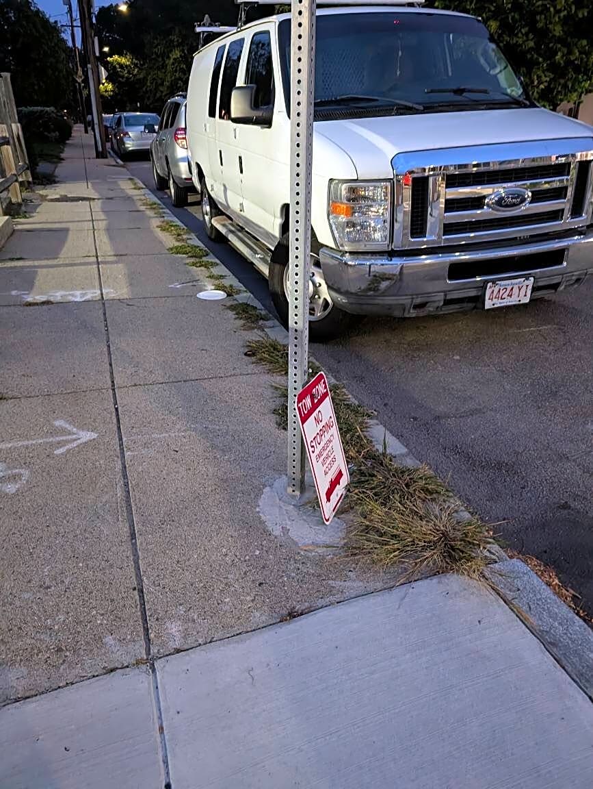 Image submitted with report