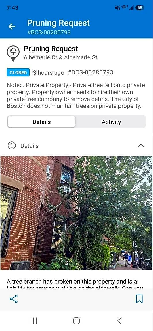Image submitted with report