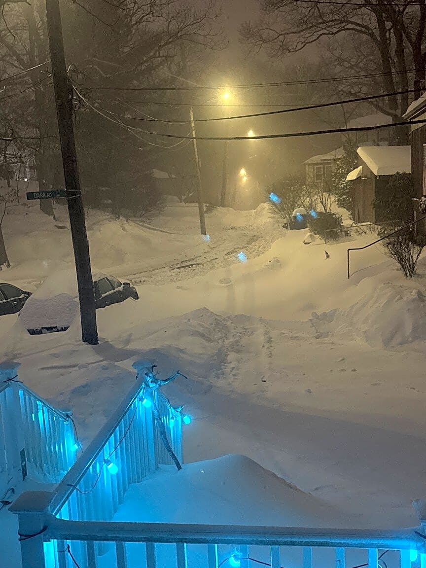 Image submitted with report