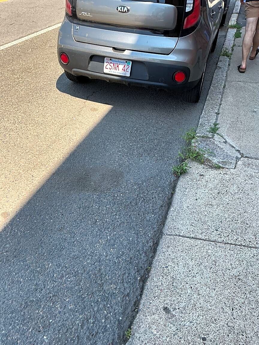Image submitted with report