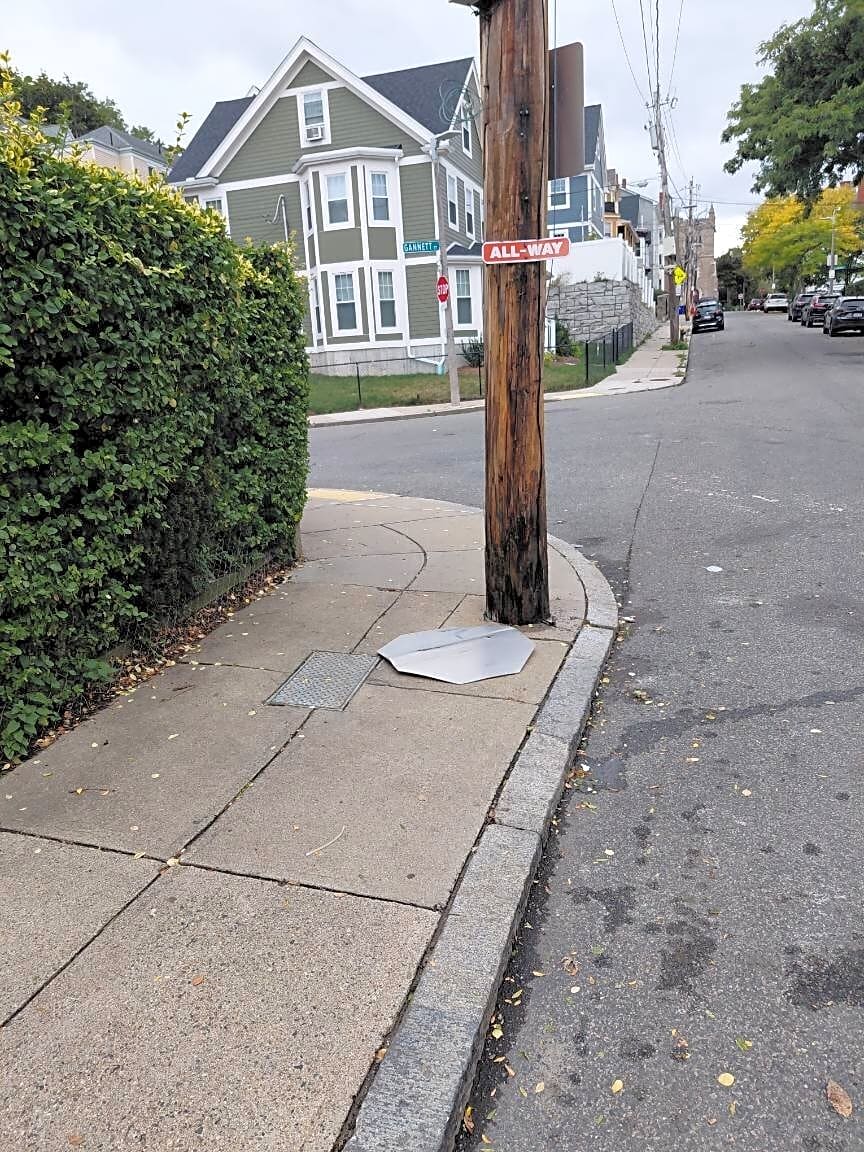 Image submitted with report