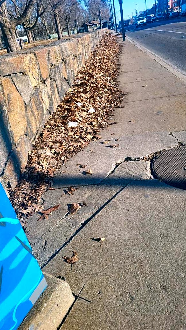 Image submitted with report