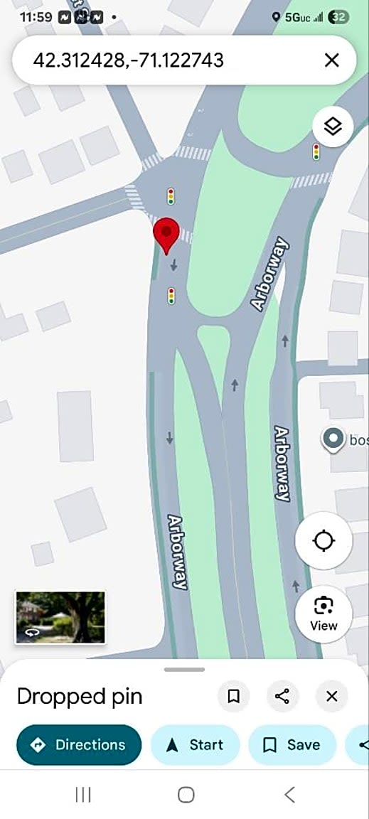 Image submitted with report