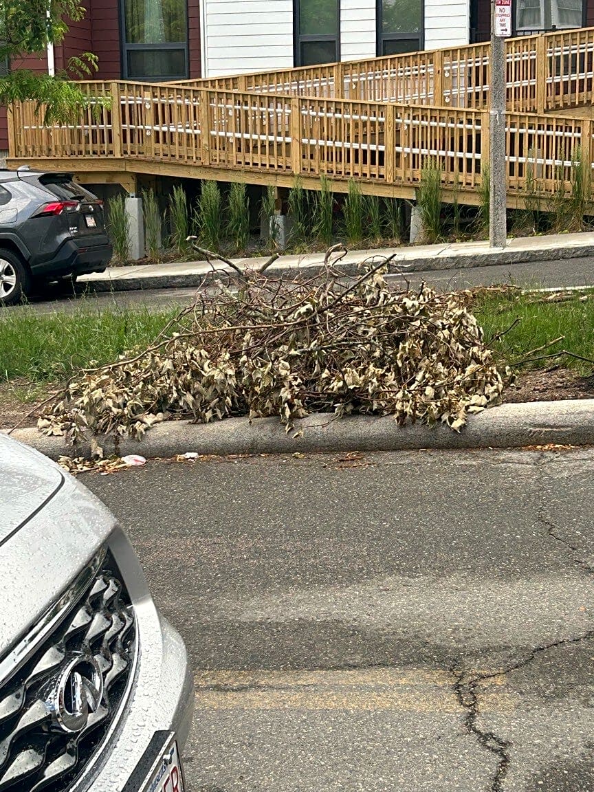 Image submitted with report