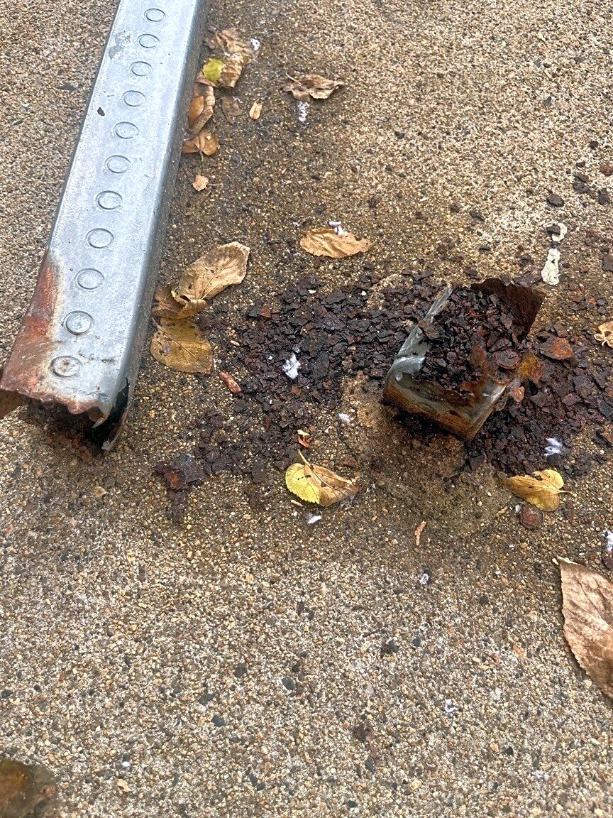 Image submitted with report