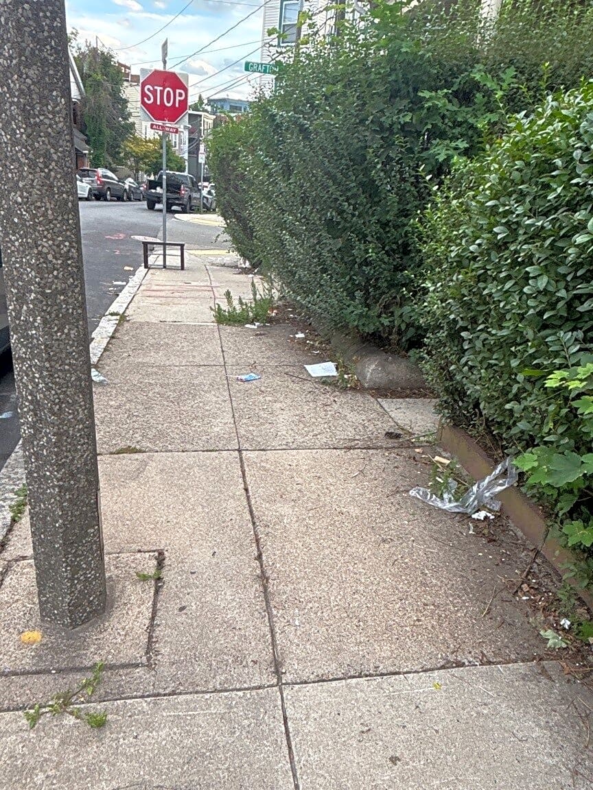 Image submitted with report
